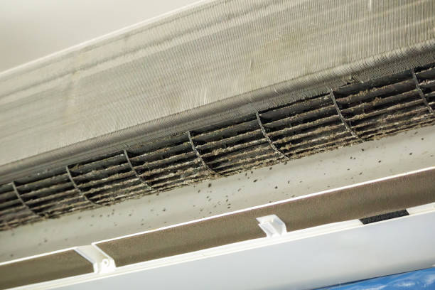 Best HVAC Duct Inspection Services  in Crosby, ND